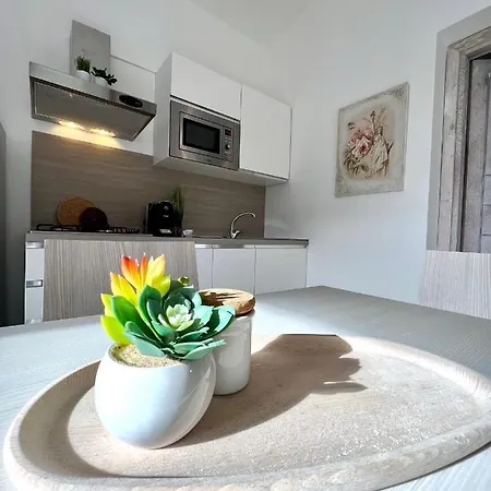 La Conchiglia A Pochi Passi Dal Centro דירה סאן תאודורו